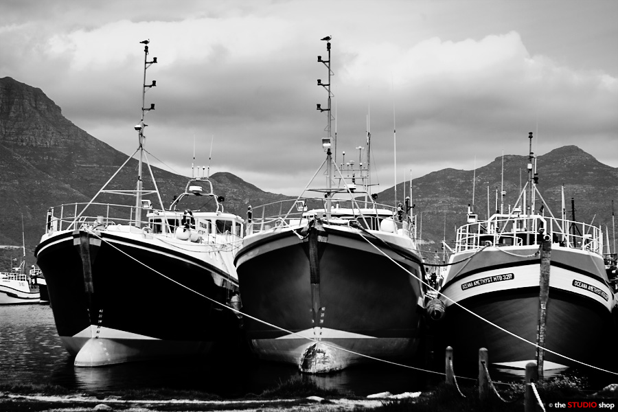 IMAGE: http://thestudioshop.co.za/photos/IMG_5899.jpg